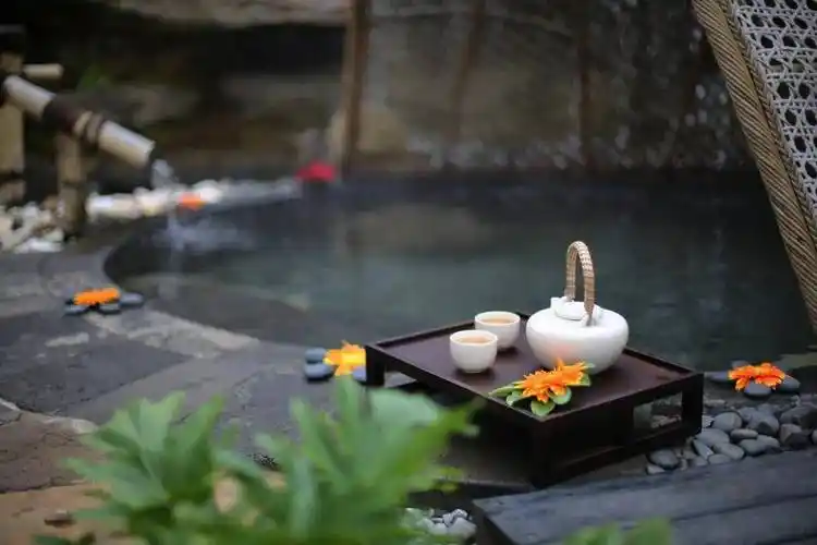 地熱溫泉醫(yī)養(yǎng)行業(yè)賦能新質(zhì)生產(chǎn)力發(fā)展-地熱開發(fā)利用-地大熱能